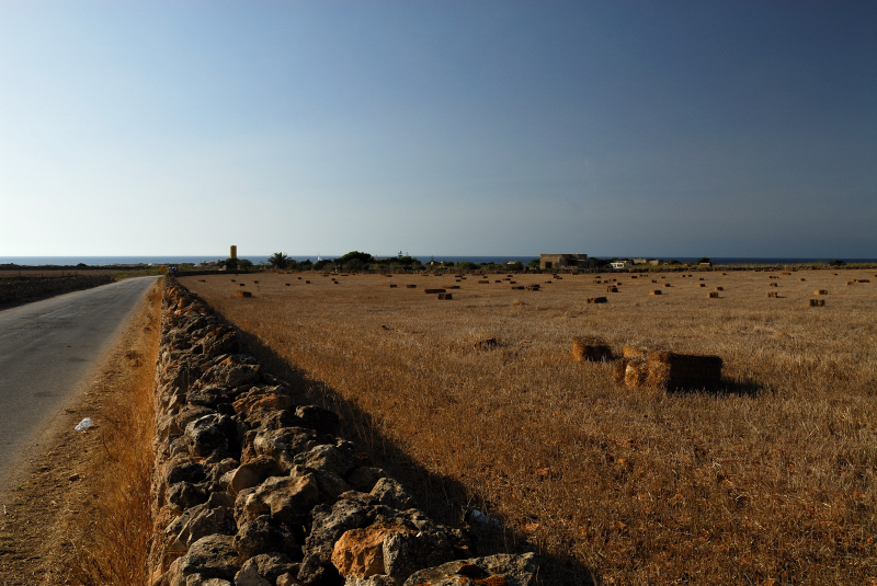 Isola di Favignana-15.JPG
